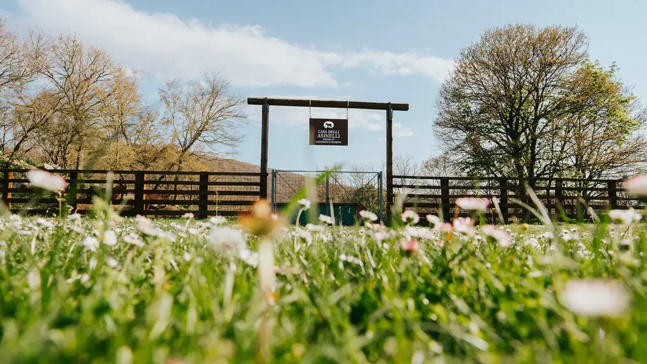 Villaggio Rurale Le Sette Querce countryside hamlet Molise Italy